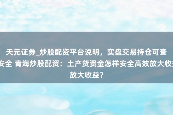 天元证券_炒股配资平台说明，实盘交易持仓可查更安全 青海炒股配资：土产货资金怎样安全高效放大收益？